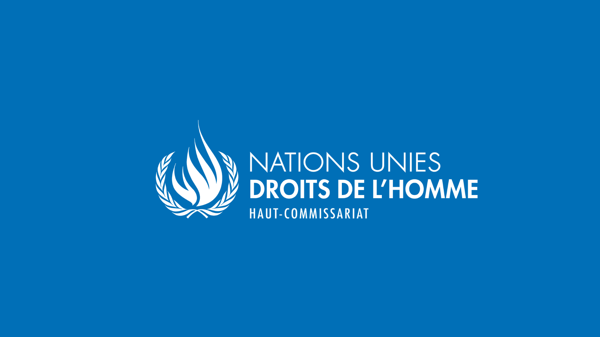 Logo du Haut Commissariat aux Droits de l'Homme des Nations Unies