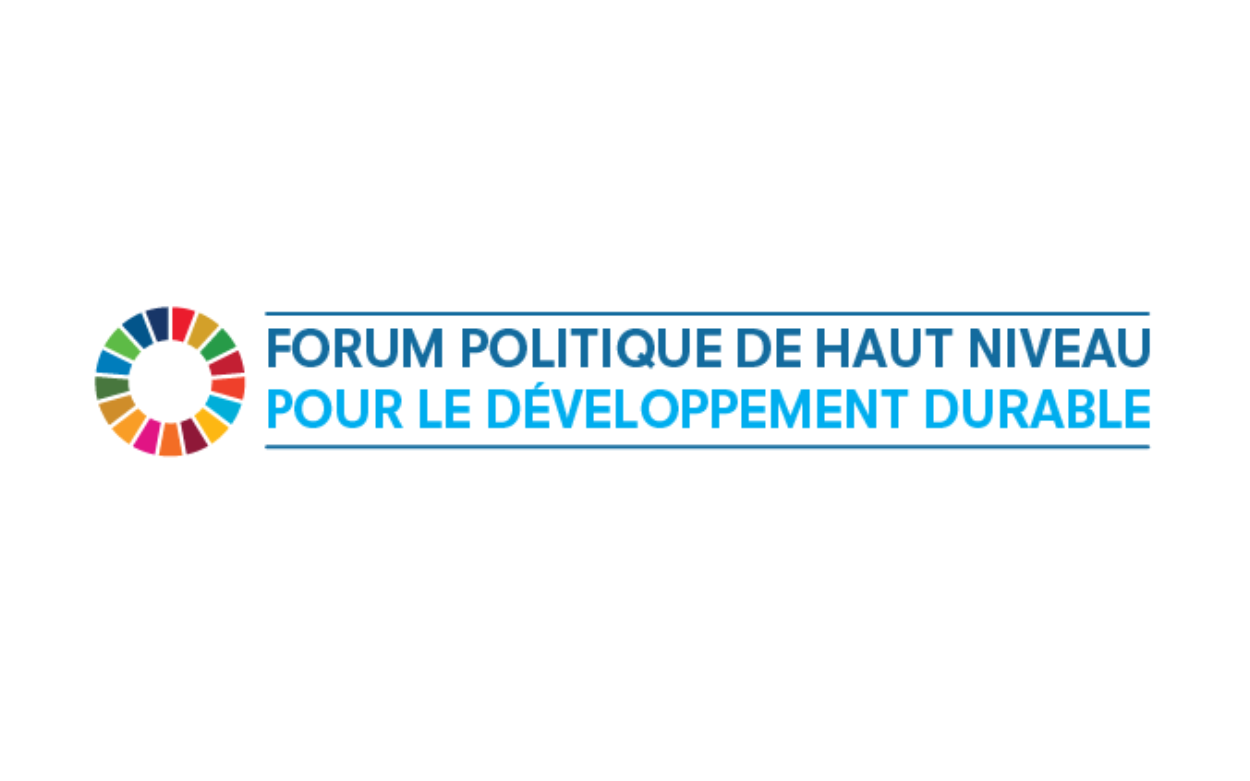 Logo du Forum politique de haut niveau de l'ONU