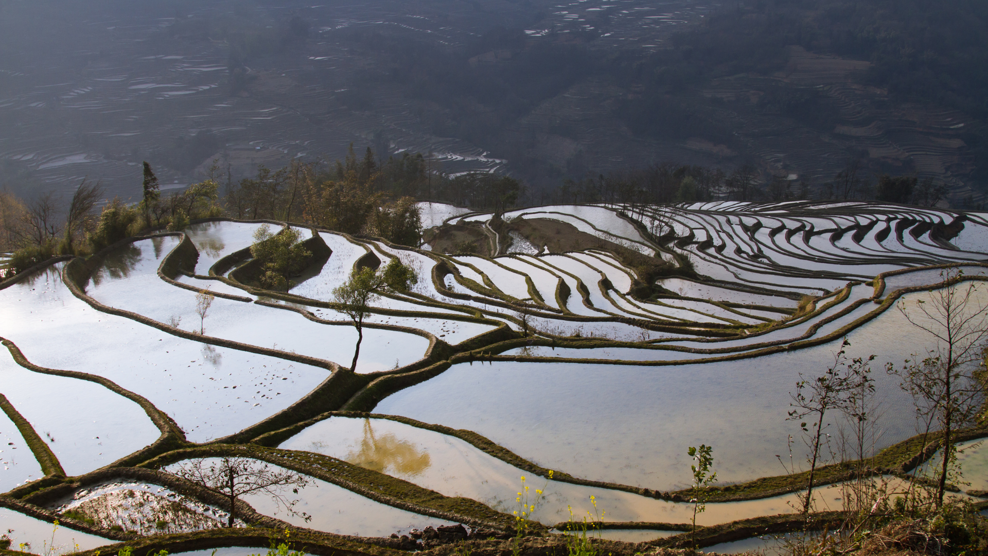 Photo des Rizières en terrasses de Honghe Hani, Chine