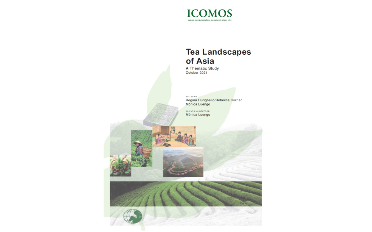 Thematic Study Tea Landscapes