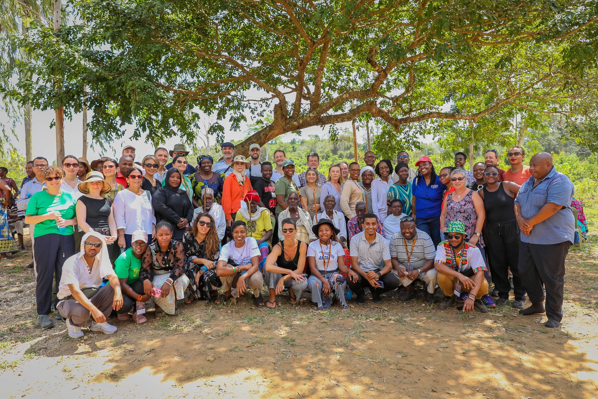 2 rows of Africa24 participants posing outside near a big tree