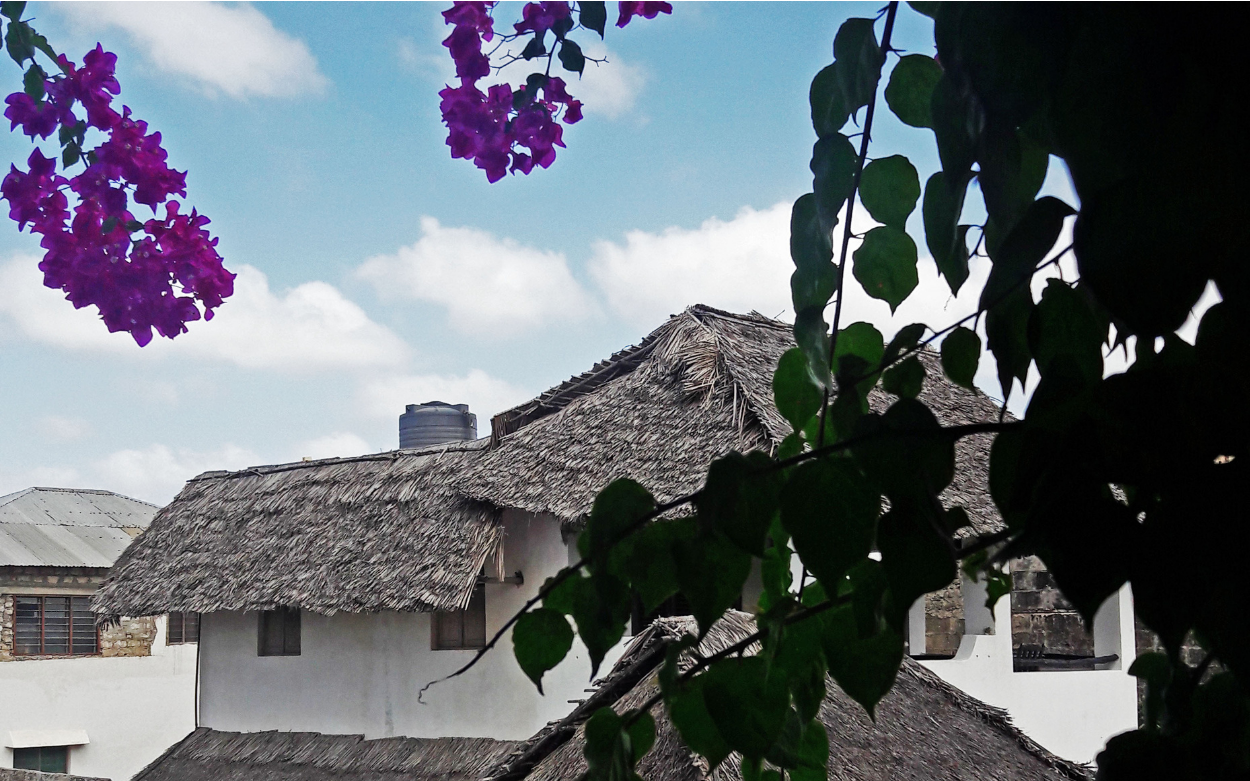 Tree leaves and flowers in the foreground, white houses with 