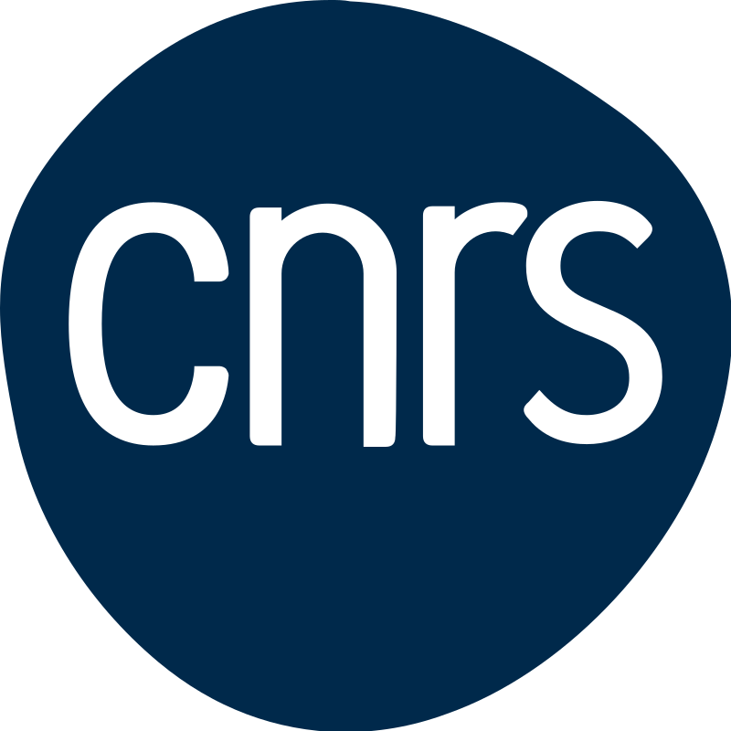 Logo Centre National de la Recherche Scientifique
