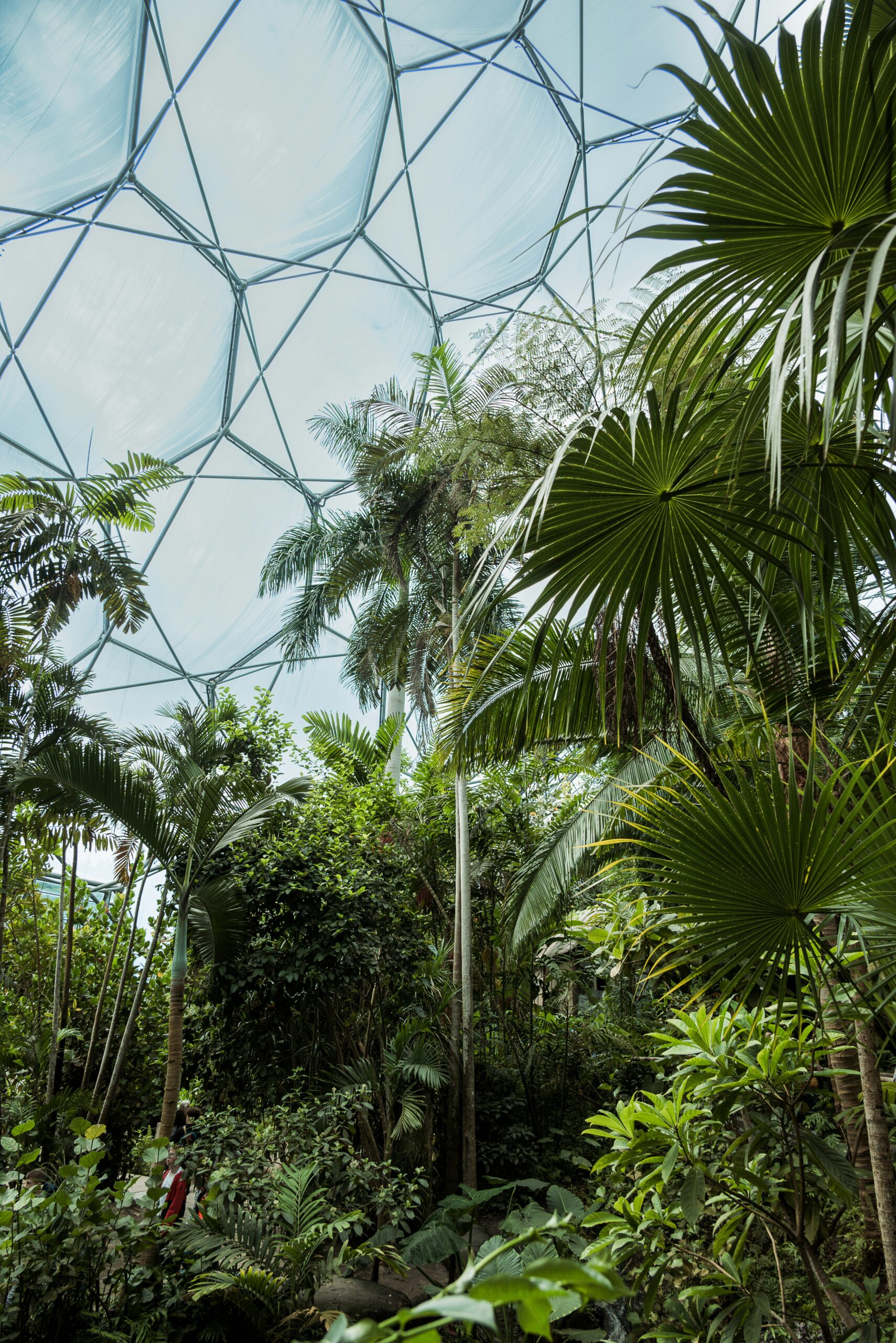 Picture of the Eden project, a botanical garden in Bodelva, England