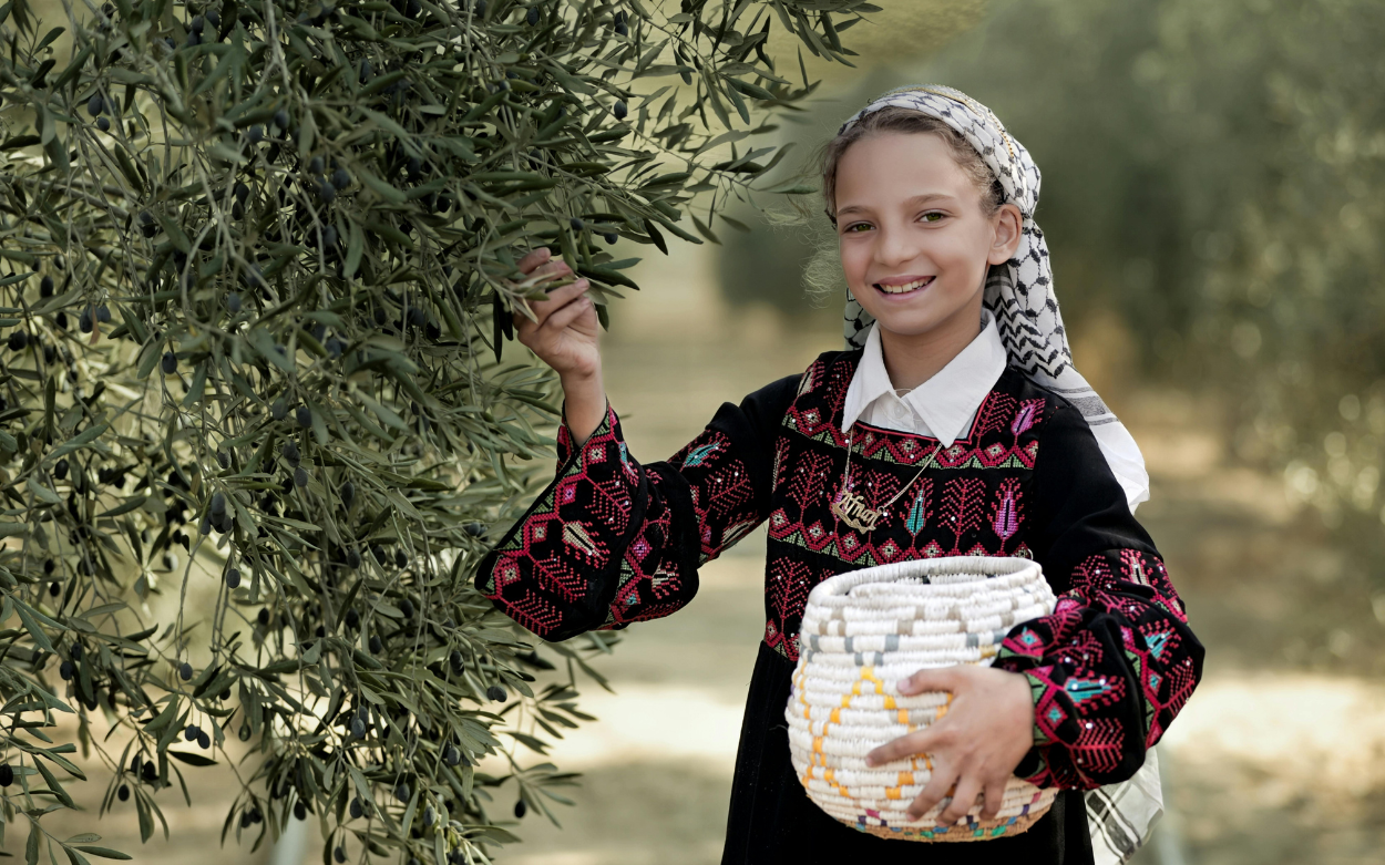 Young Girl Harvesting Olives in Traditional Palestinian Dress
