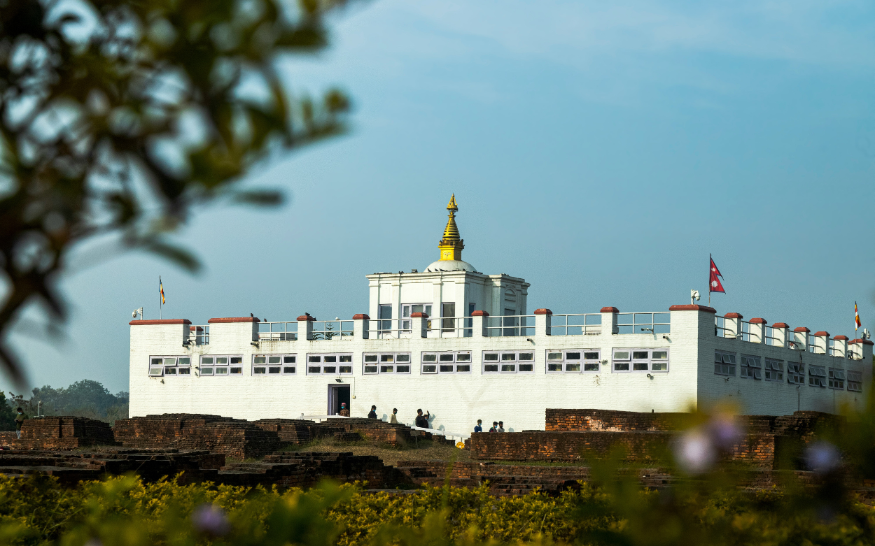 Annual report's cover picture